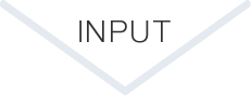 INPUT