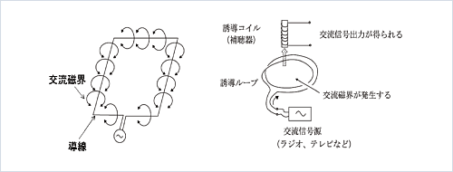 リオン株式会社 製品情報 聴能設備機器 磁気ループとtコイルの原理